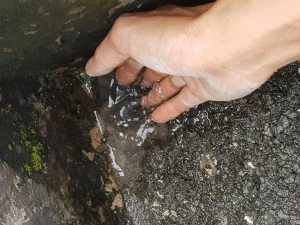 CÔNG TRÌNH CẢI TẠO SỬA CHỮA NHÀ UBHĐND PHƯỜNG AN PHÚ ĐÔNG QUẬN 12 Sàn bị đọng nước nhiều nơi do hệ thống thoát sàn không thể thoát được do bị tắc nghẽn cần được khơi thông và chống thấm lại